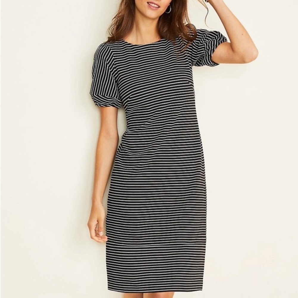 Ann Taylor Black and White Striped Dress